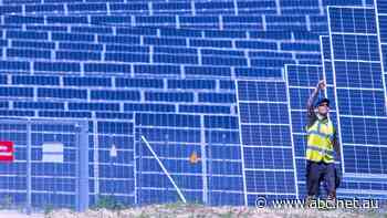 Household power prices now 'among lowest in the world' due to renewables