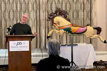 Chippewa Park restoration project gets new funding from Ottawa - Tbnewswatch.com