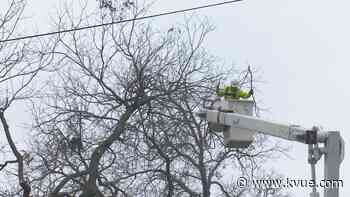 Austin Energy clears tree limbs to minimize power outages - KVUE.com