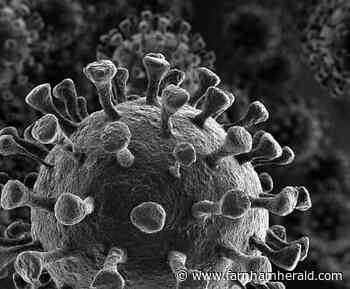 Experts reveal the facts about Omicron Variant - Farnham Herald