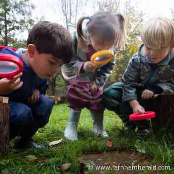 Forest fun on offer at St Ives School - Farnham Herald
