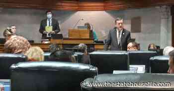 Marathon Senate hearing shuttles many bills forward, including nuclear energy bill - The Statehouse File