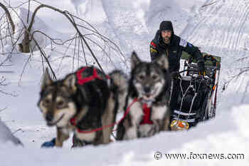John Beargrease 2022 sled dog marathon won by Wisconsin musher - Fox News