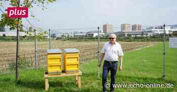 Heppenheim: Naturschutz auf dem Firmenareal - Echo-online