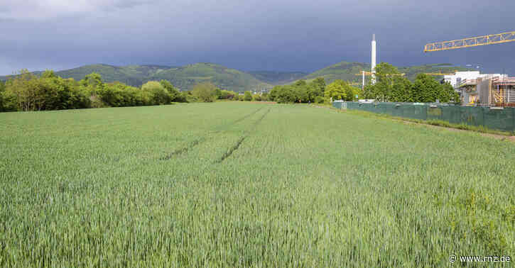 Masterplan Neuenheimer Feld:  Der Knackpunkt ist und bleibt der Hühnerstein