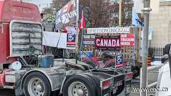 Ottawa residents brace as protest numbers expected to swell this weekend