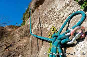 Stahlnetze sollen am Breisacher Münsterberg vor Steinschlag schützen - Breisach - Badische Zeitung
