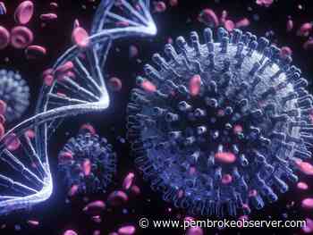 14th COVID-related death reported in Renfrew County and district - Pembroke Observer