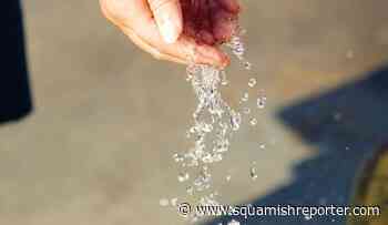 Deadline approaching for groundwater users to apply for licence - The Squamish Reporter