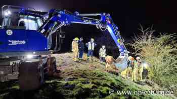 NRW - Großeinsatz wegen vermisstem Hund in Herne - Neue Presse Coburg