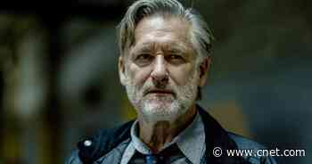 The Sinner season 4: What to remember before watching     - CNET