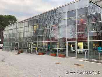 Piscine dello Stadio, tutto fermo: Tribunale di Terni passa la palla a Roma e Actl si riorganizza - Umbria 24 News