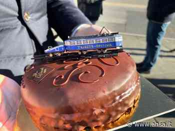Tram Opicina ancora fermo, torta celebra ripartenza fantasma - Agenzia ANSA