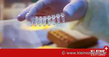 Alle Gemeindezahlen: Bezirk Feldkirchen hat höchste Inzidenz in ganz Kärnten - Kleine Zeitung