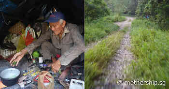 Elderly man, 79, lived in S'pore forest alone for past 33 years - Mothership.sg