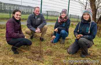 Donegal school to get outdoor forest classroom - Highland Radio
