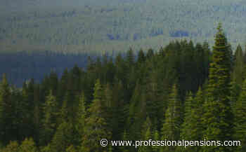 Industry Voice: 2022 Global Alternatives Outlook - Seeing the forest and the trees - www.professionalpensions.com