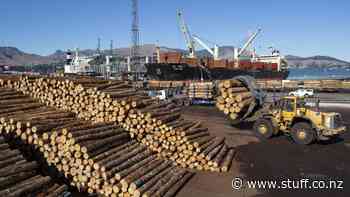 The demand on forestry: If a tree falls in the forest, should it be exported? - Stuff.co.nz