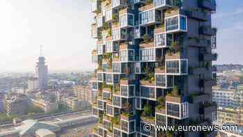 Take a look inside China's first vertical forest - home to 500 people and 5,000 trees - Euronews