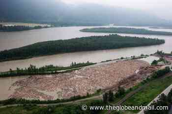 B.C. forest watchdog recommends improving forest management to protect water - The Globe and Mail