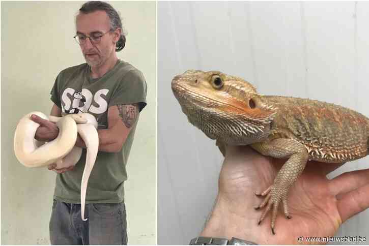SOS Reptiel krijgt zeven grote slangen binnen na inbeslagname: “We moeten blijven kooien bijbouwen om ze allemaal op te vangen”