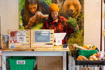 Local by name and experience | Elk Valley, Fernie - E-Know.ca