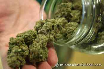 Minnesota’s Medical Marijuana Program To Include Flowers For Smoking Next Month - WCCO | CBS Minnesota