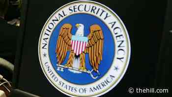 Memo argued Trump-linked officials should seize NSA data in effort to prove election was stolen: report