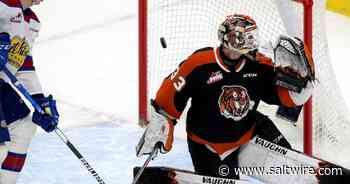 Edmonton Oil Kings rise to top of Eastern Conference with win over Tigers - SaltWire Network