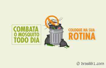 Região goiana de Anicuns reforça ações de combate a dengue - Brasil 61