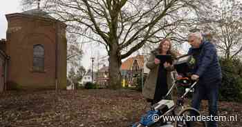 Frits is bomenspecialist: 'Iedere boom heeft een eigen karakter' - BN DeStem