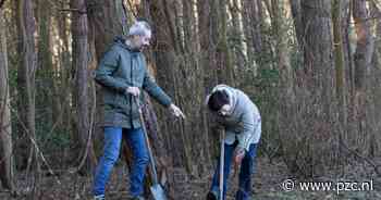 Oogst een jonge boom in Aardenburg en geef hem een tweede kans - PZC