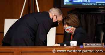 Democratic Senators Unveil Horrifying Plan to Change Electoral Count Act