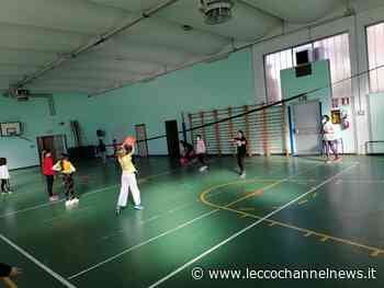 Pallavolo | Il progetto "Scuola Picco Lecco”: 1500 studenti ancora in campo - Lecco Channel News