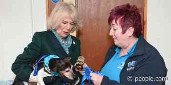 Camilla, Duchess of Cornwall Brings Rescue Dog Beth on Royal Outing — and Wins a Prize! - PEOPLE