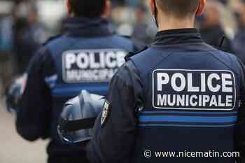 Dix voitures caillassées en pleine nuit, trois adolescents interpellés au Cannet