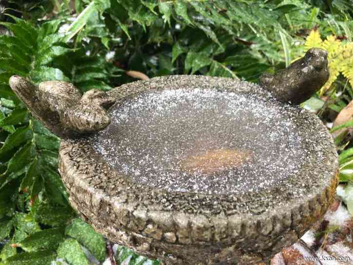 GALLERY: February 2022 Texas winter storm photos, videos