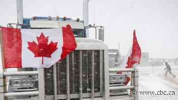 Alberta ranchers worried about border protest rattling cattle sector