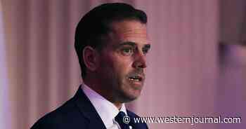 Email Hidden for 5 Years Declared Hunter Biden 'Undercut' US Efforts to Fight Ukraine Corruption - Report