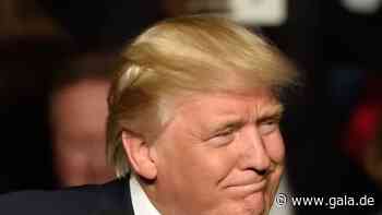 Donald Trump: Das verlangt er für ein Essen mit Foto - Gala.de