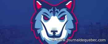 Alliance : du basketball à Verdun dès le mois de mai