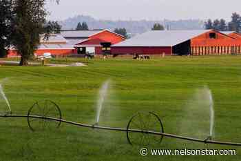 Deadline approaches for BC irrigation, commercial water licences – Nelson Star - Nelson Star