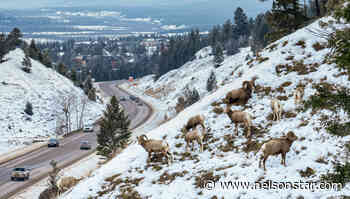 MOTI says removing Radium passing lane not under consideration – Nelson Star - Nelson Star