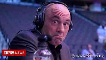 Spotify boss says too early to know Joe Rogan row impact