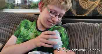 Teenage boy's work experience offer withdrawn due to his additional needs - Cornwall Live