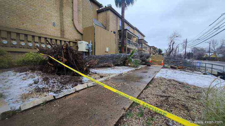 One injured after frozen tree snaps at Austin apartment complex