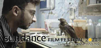Sundance 2022: Alex's 10 Favorite Films - The Best of the 2022 Festival