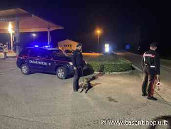 BIBBIENA: due giorni di controlli con arresti e denunce da parte dei carabinieri | Casentino Più - Casentinopiù