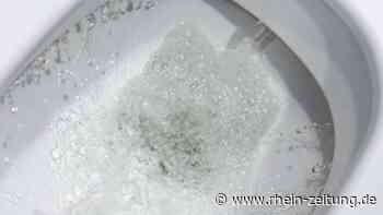 Ein Song gegen Müll im Klo - Bau-Infos - Rhein-Zeitung