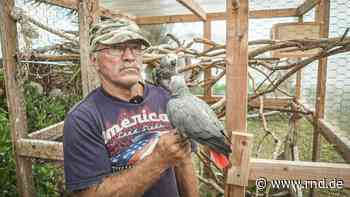 Die Reimanns bei Kabel Eins: Konny verliert beim Pool-Bau die Nerven - RND